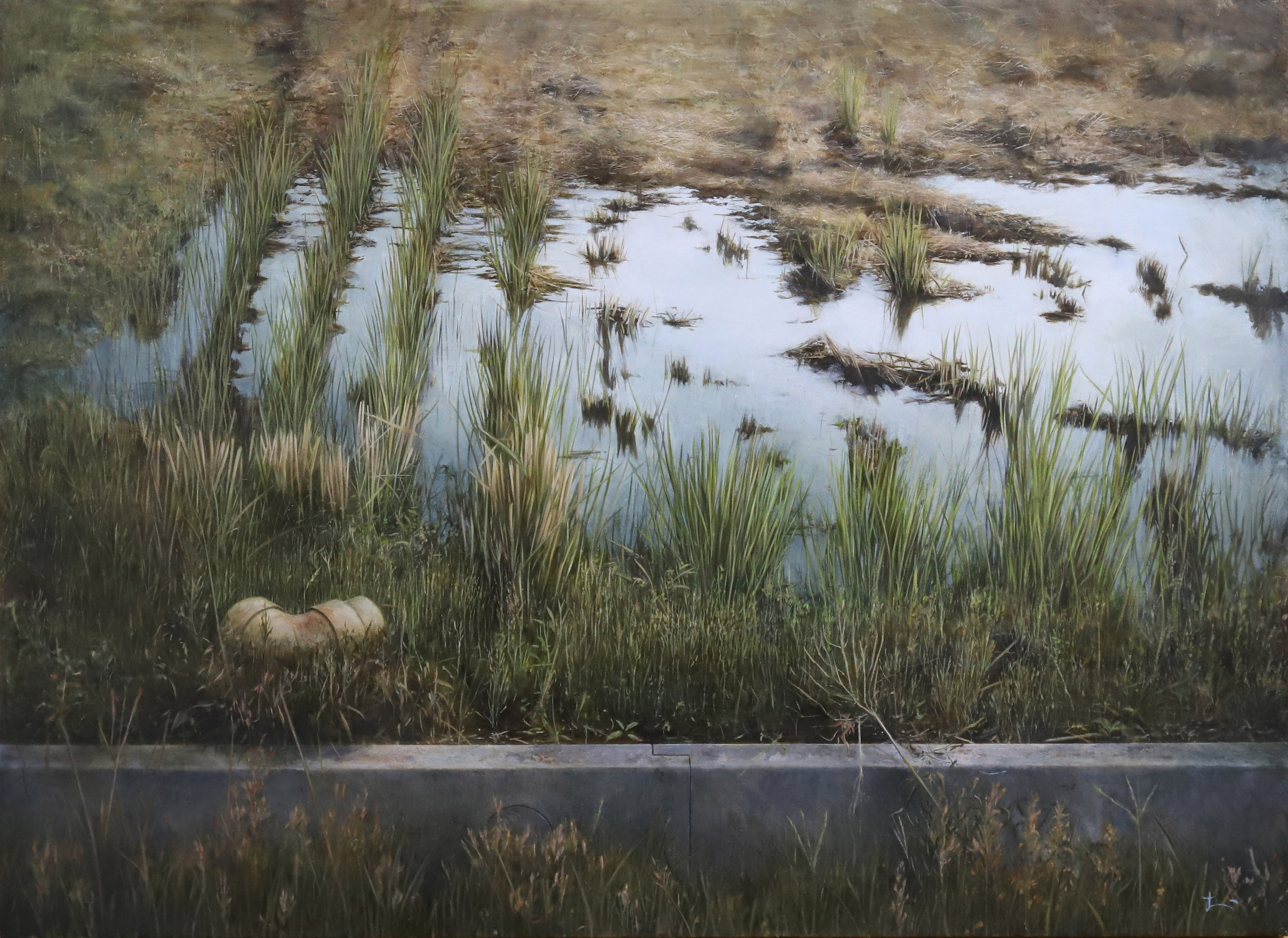 	収穫後、雨上がりの朝	